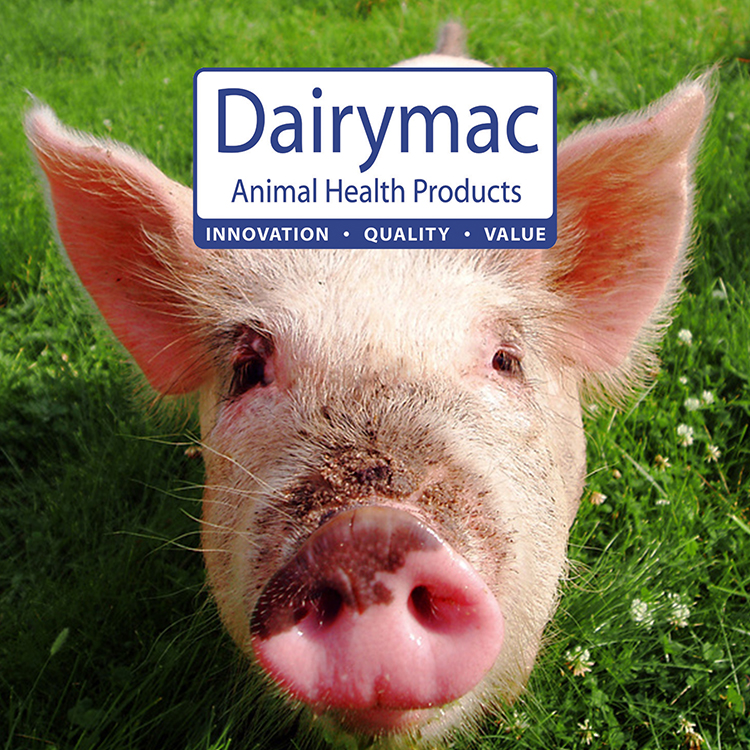 Dairy Mac, Animal Helath Product marketing materials